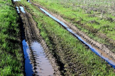 Improve The Aesthetic Appeal of Your Lawn With Professional Rut Repair!