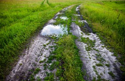 Increase Ease of Maintenance With Professional Lawn Rut Repair!