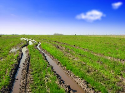 Increase Property Value With Professional Lawn Rut Repair!